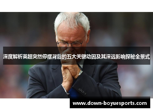 深度解析英超突然停摆背后的五大关键动因及其深远影响探秘全景式